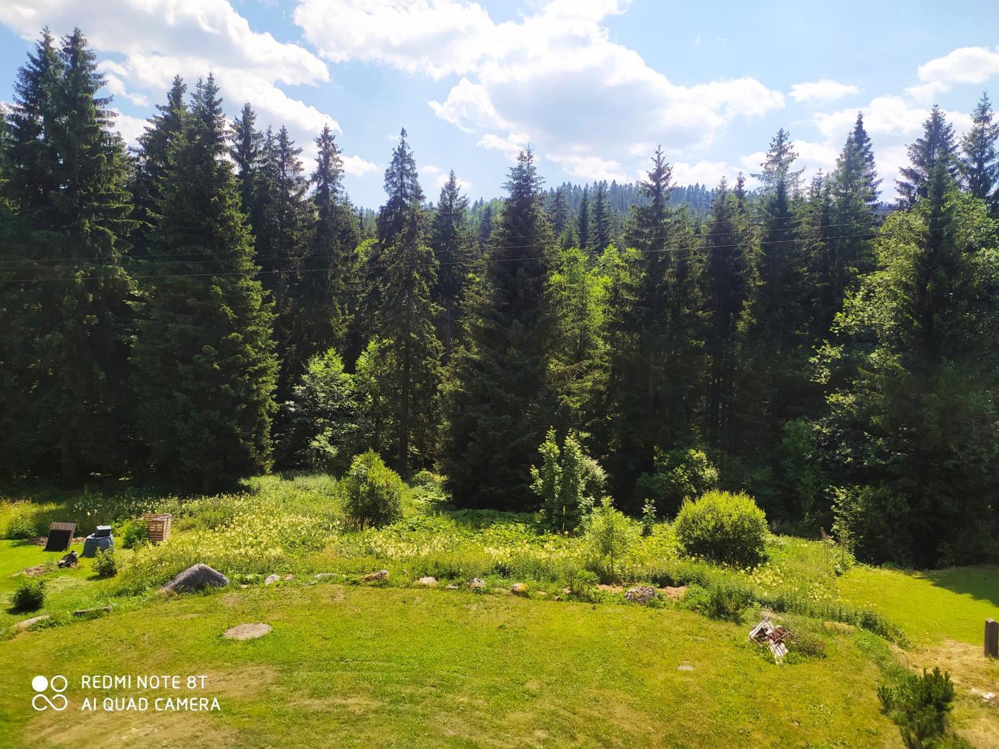 Wellness Penzion Triola Kořenov Εξωτερικό φωτογραφία